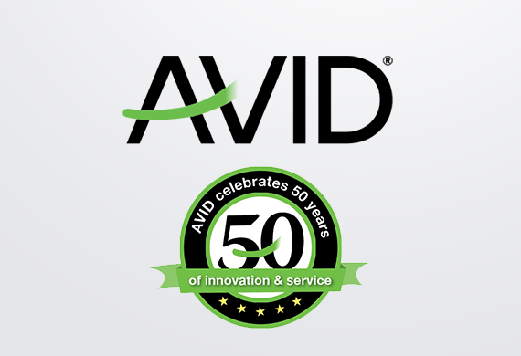 Logo and Branding