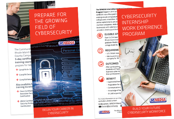 Printed Brochures